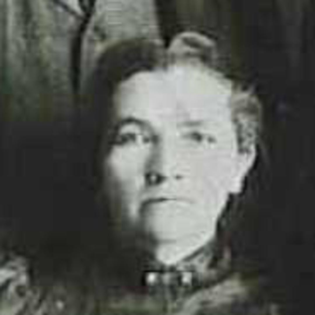 Kirsten Larsen (1847 - 1932) Profile